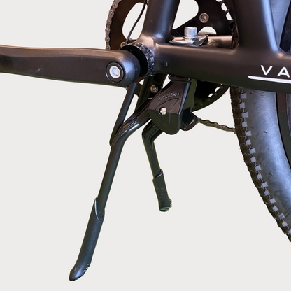 【チャイルドシート＆キャリヤ付きファミリーパッケージ】VATRIX FAMILY CRUISER | ダブルレッグスタンド