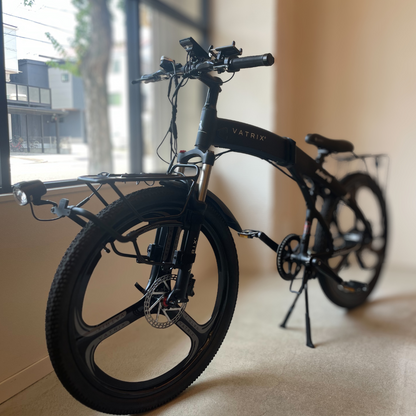 【チャイルドシート＆キャリヤ付きファミリーパッケージ】VATRIX FAMILY CRUISER